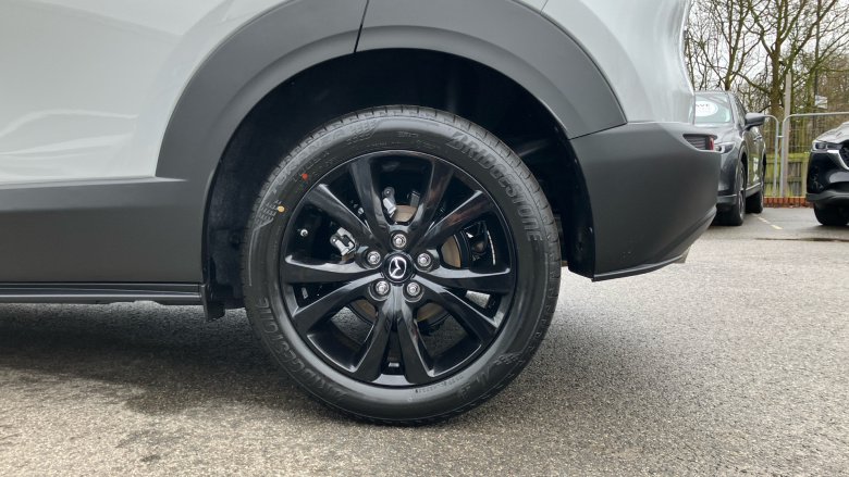 Mazda CX-30 2.5 e-Skyactiv G MHEV [140] Homura 5dr Petrol Hatchback